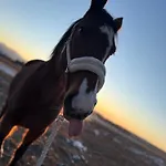 Country Heaven *
