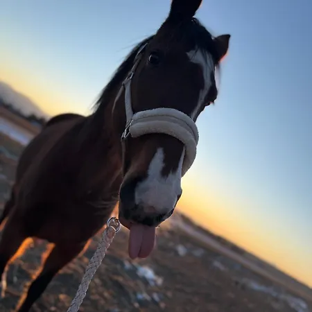 Country Heaven *